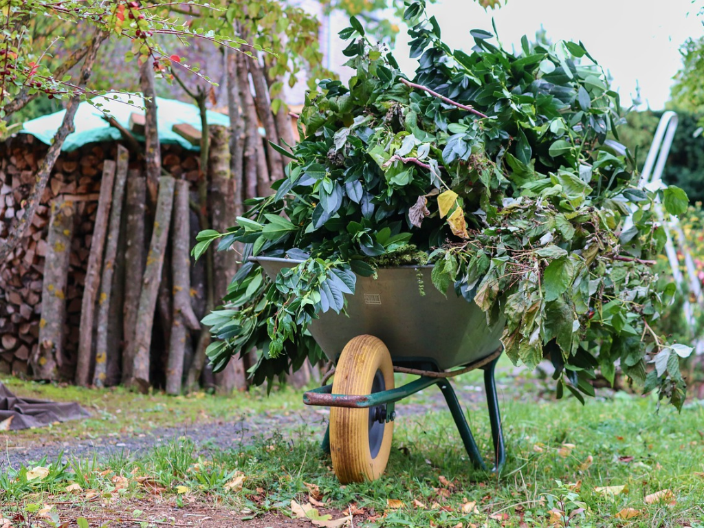 Trim and cut trees